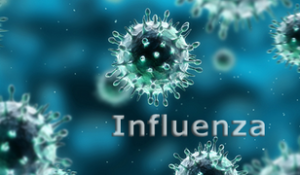 47-influenza1