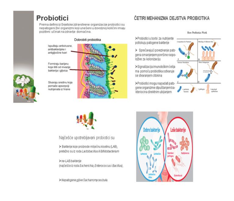 Značaj i upotreba probiotika kod djece