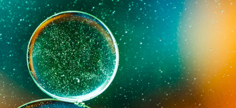 Matične ćelije: karakteristike i klasifikacija